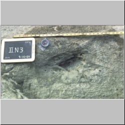 px84b-9b-10 dodm.jpg